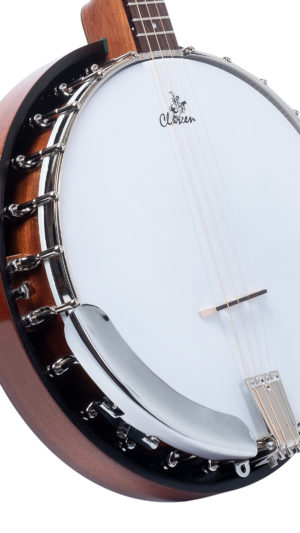Clareen Banjo Heads - Frosted White 11"