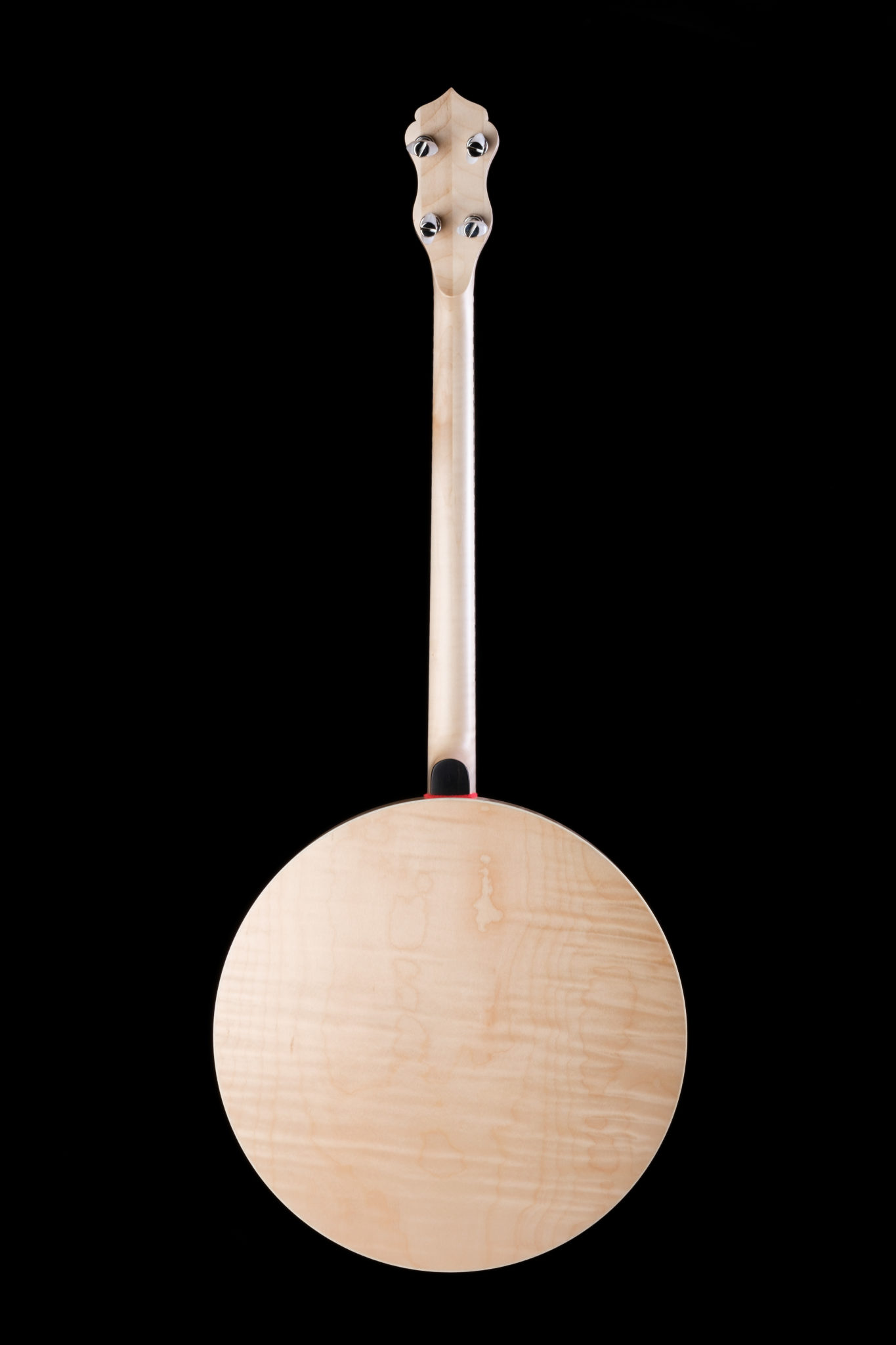 Oyster • Clareen Banjos